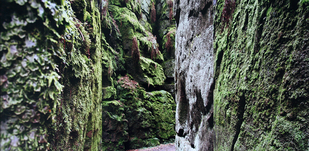 Lud's Church ©Jacob Broadhurst